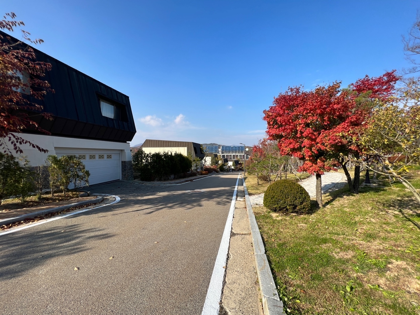 이미지명