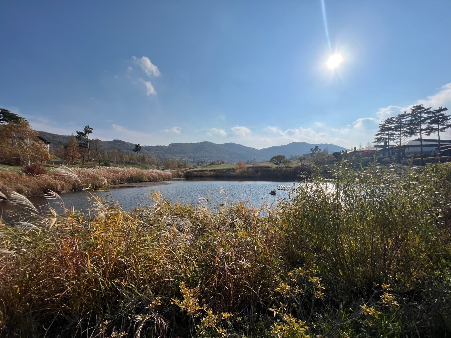 이미지명