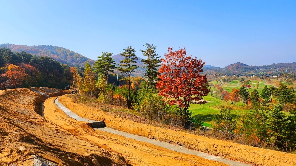 이미지명