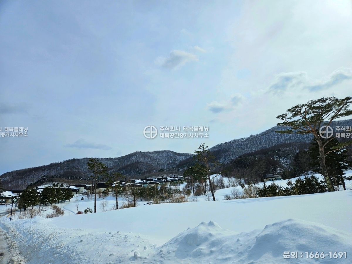이미지명