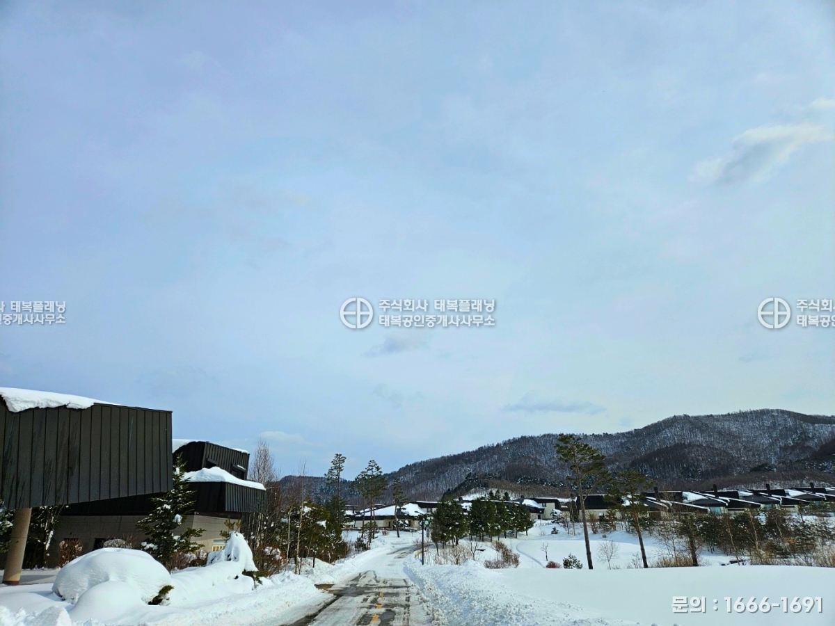 이미지명
